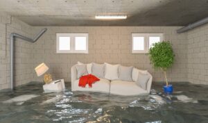 What Should I Do Immediately After Water Damage?