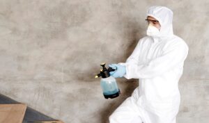 How Does Mold Removal Benefit Property Value in Columbus, Ohio?