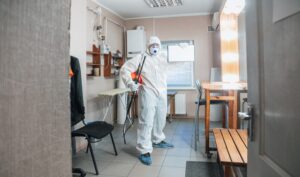 Can Mold Removal Prevent Structural Damage